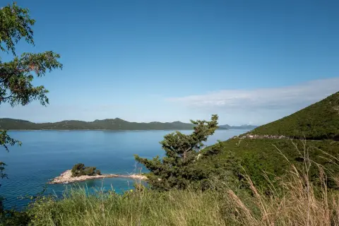 Pin isole se penchant au-dessus d'une crique cristalline, Dubrovnik