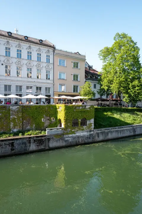 Facade envahie de lierre au bord du canal verdoyant, Ljubljana