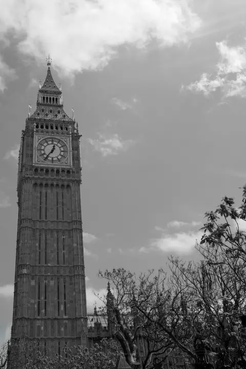 Big Ben s'élevant au-dessus des arbres dénudés de Parliament Square, Londres