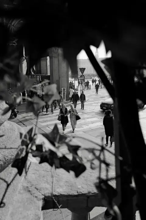 Vue à travers un feuillage sur des passants costumés déambulant sur la place, Milan