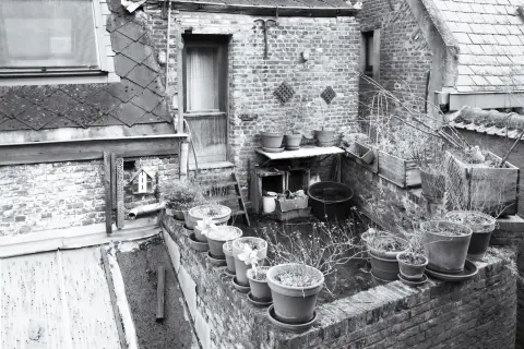 Une petite cour vue d’en haut, des pots de fleurs alignés sur un muret de briques, Mons