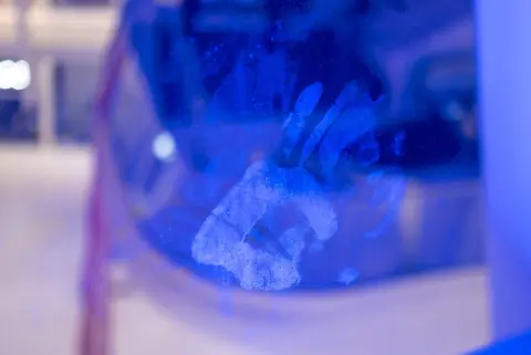 Silhouette floue d'une main pressée contre une vitre baignée de lumière bleue, New York