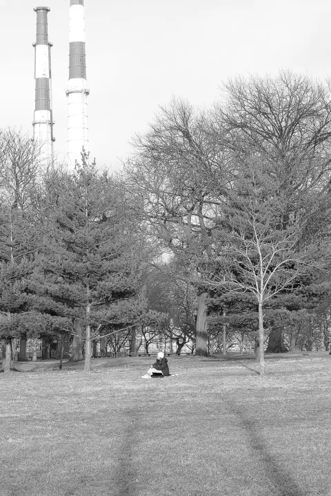 Personne assise seule dans l'herbe sous des arbres nus, cheminées en fond, New York