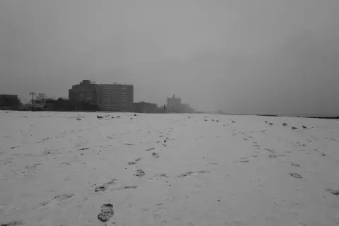 Mouettes et empreintes de pas sur une plage enneigée, New York