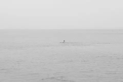 Nageur solitaire au loin dans une mer brumeuse, New York