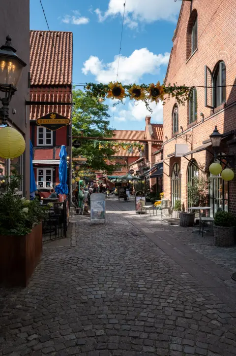 Une ruelle pavée sous une guirlande de tournesols, Odense