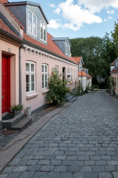Maisons basses et porte rouge le long d’une rue pavée, Odense