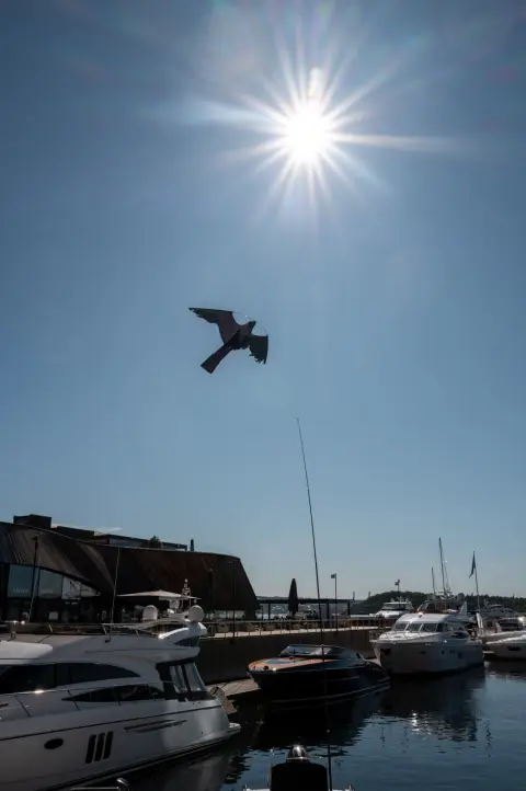 Une silhouette d’oiseau sous le soleil au-dessus de la marina, Oslo