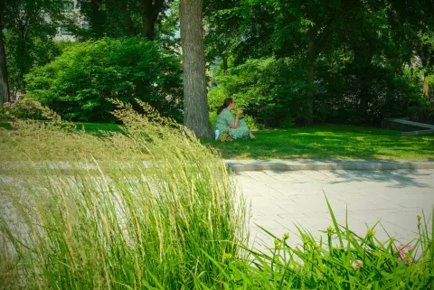 Une femme lit sur la pelouse, derrière un rideau de hautes herbes, Québec