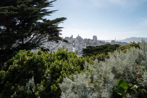 Vue sur les toits de la ville depuis les hauteurs, Golden Gate Bridge visible au loin, San Francisco
