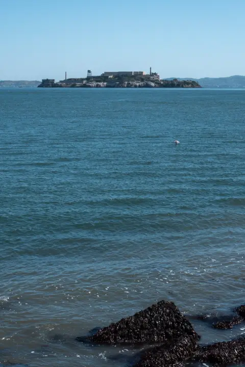Île d'Alcatraz se détachant sur une mer calme et bleue, San Francisco