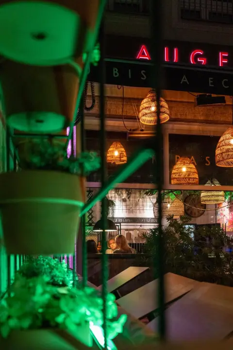 Lanternes en osier et neon rouge derriere un rideau de plantes, Vienne