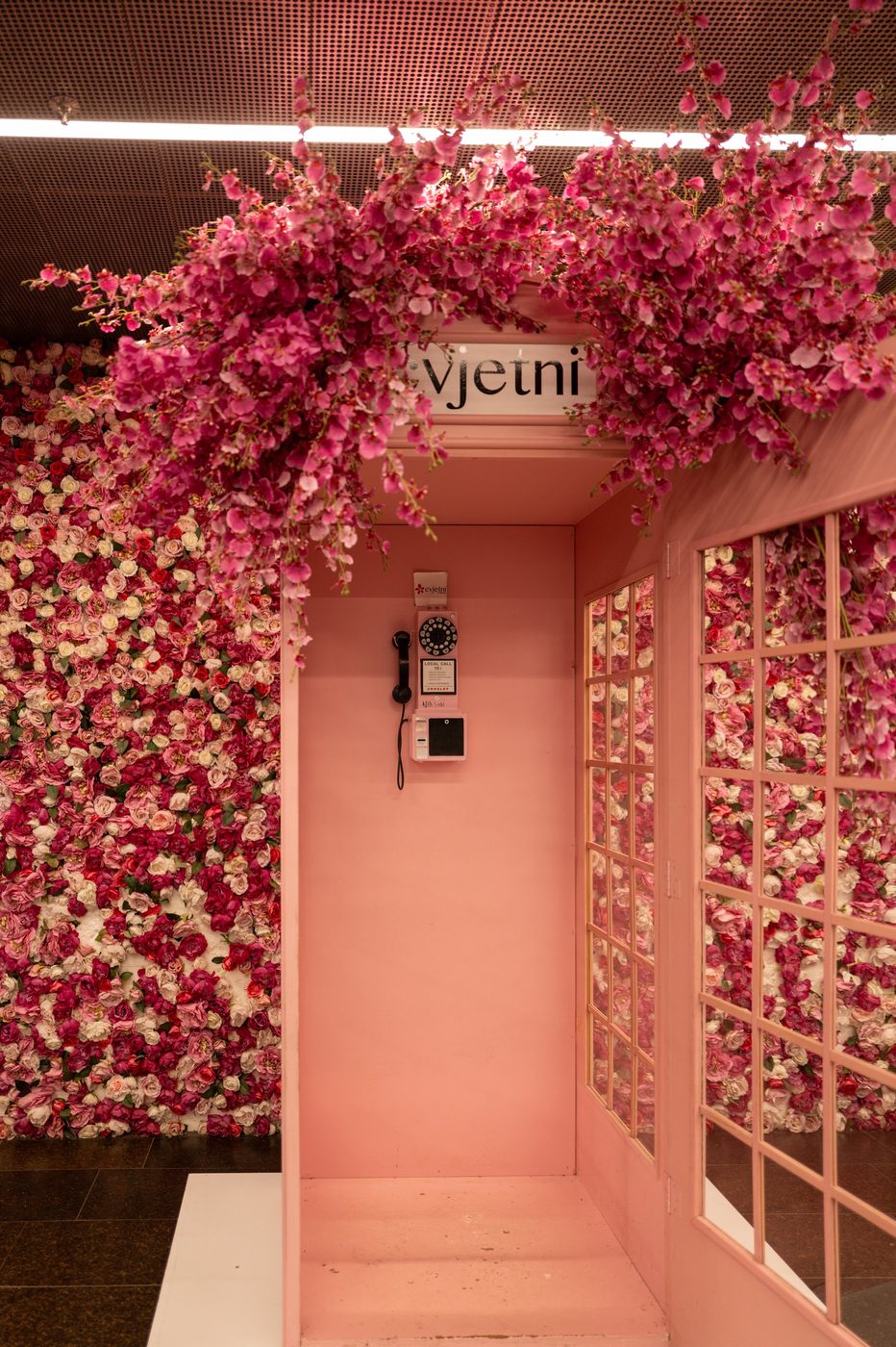 Vintage phone booth nestled in a wall of pink flowers, Zagreb