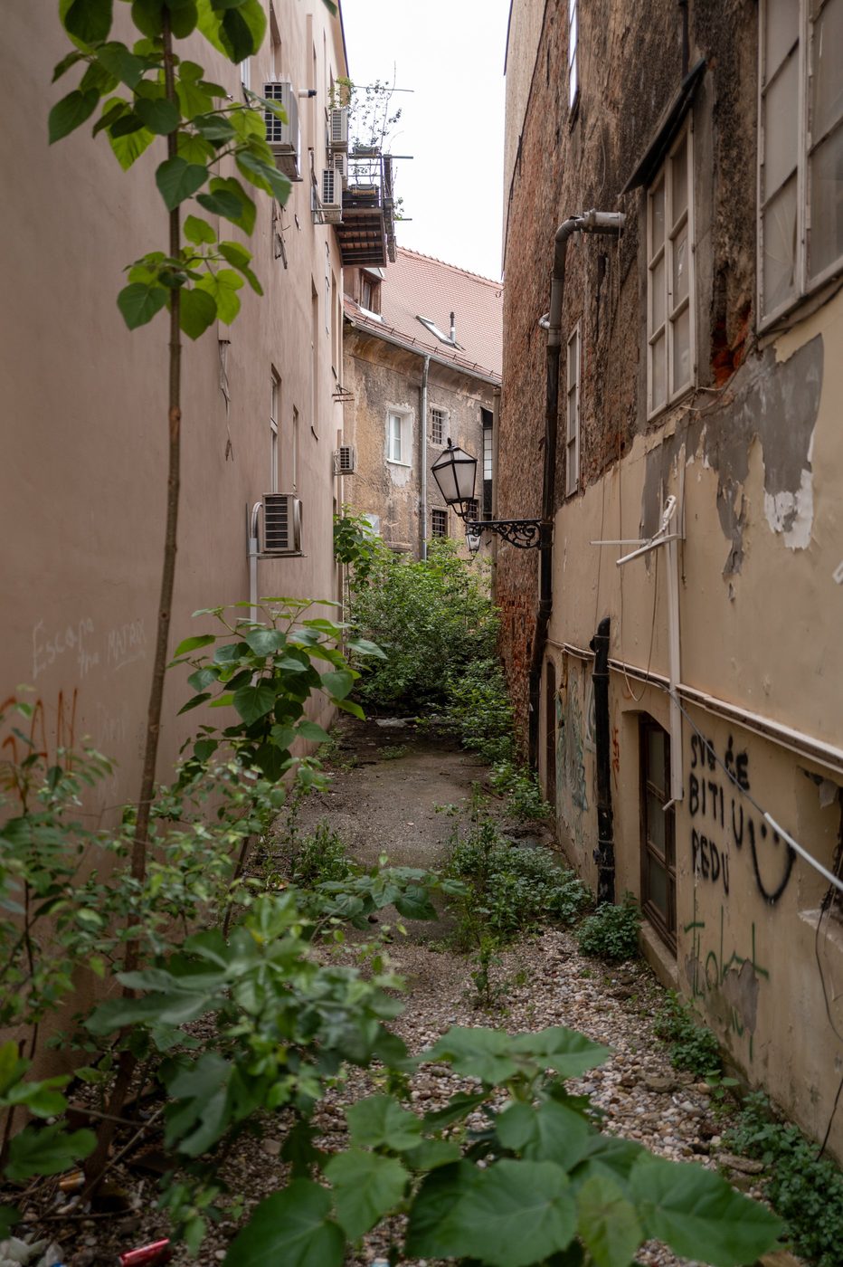 Back alley overgrown with greenery between two dilapidated façades, Zagreb